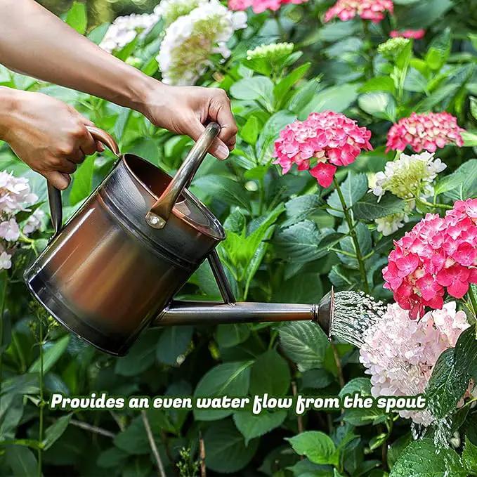 1 Gallon Watering Can for Plants, Watering Cans for Indoor&Outdoor Gardening, Galvanized Steel Watering Pot with Removable Spout, Metal Water Can with Ergonomic Movable Handle(Copper) by GreenHaven Gardens