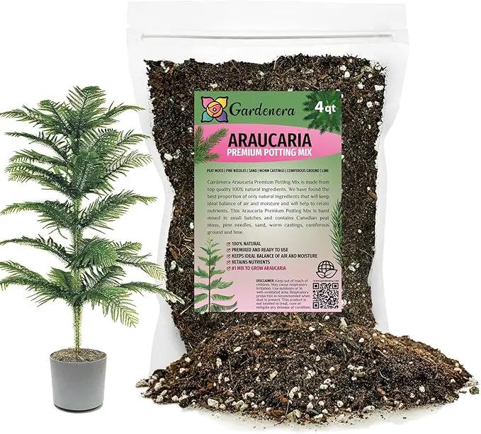 Premium Araucaria Potting Soil Mix - Perfect Balance of Nutrients, Drainage, and Aeration for Healthy Araucaria Trees - 4 Quart by GreenHaven Gardens