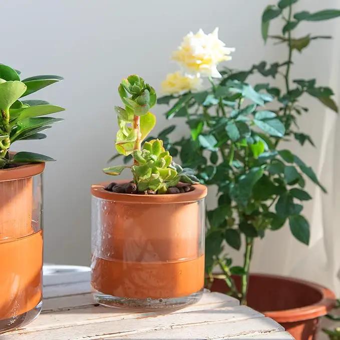 Phoenix Vine 4 Inch Self Watering Plants Pot, Design Terracotta Pot for Plants, Indoor Cylinder Terra Cotta Planter with Glass Vase, Set of 1, 51-A-E-1 by GreenHaven Gardens