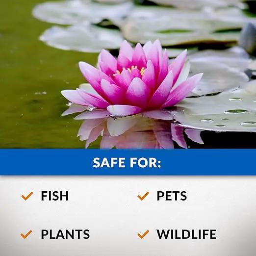 CrystalClear Algae D-Solv Pond Algae Control, Fast-Acting EPA Registered Algaecide, Use in Fountains & Outdoor Ponds Containing Koi & Other Fish, Treats 11,520 Gallons, 32 Ounces by GreenHaven Gardens