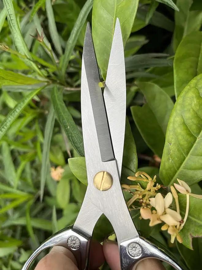 Indoor Plant Shears Garden Scissors, Flower Pruners Made of Japan SK5 Stainless Steel, Flowers Herbs and Plant Cutters, Clippers, Trimmers, Loppers, Bonsai Potted Plant Pruning Scissors by GreenHaven Gardens