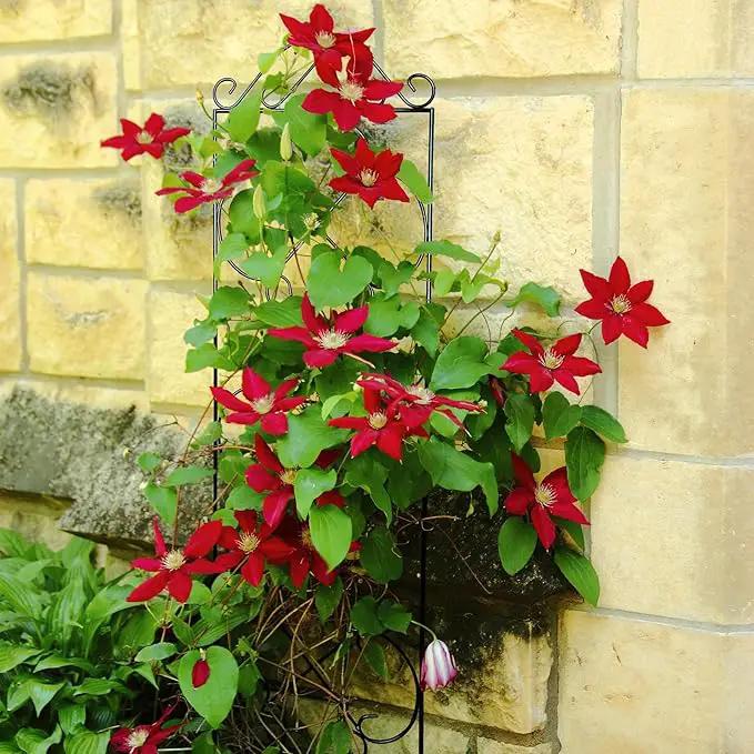 Garden Trellis 4 Pack 48'' H x 12.5'' W Metal Plant Climbing Trellis Suitable for Potted Plants Indoor and Outdoor Climbing Plants Flower Ivy Clematis Black by GreenHaven Gardens