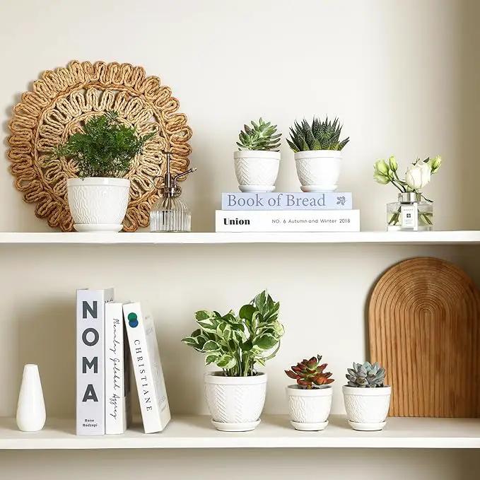 Sureasy Succulent Pots, 3.5 Inch Flower Pots for Indoor Plants, Small Plant Pots with Saucer & Drainage, Decorative Ceramic Planters for Succulent, Cactus, Set of 4, White by GreenHaven Gardens