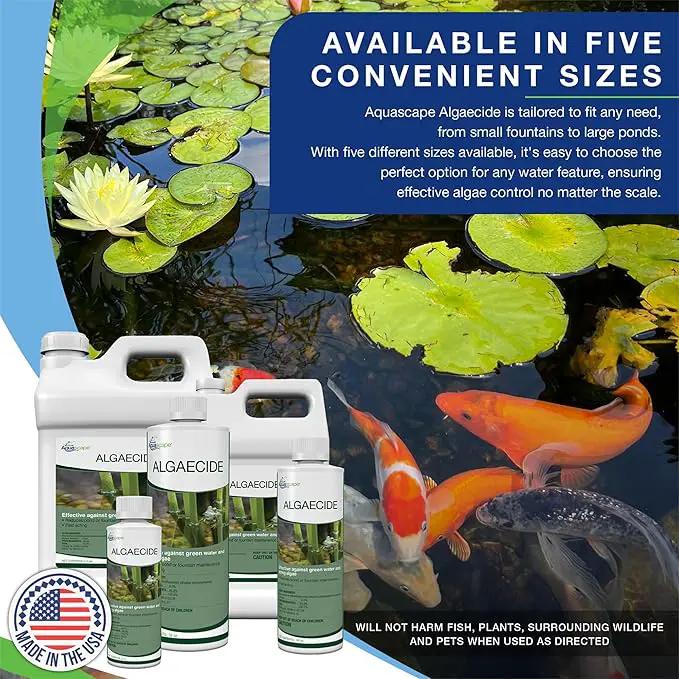 Aquascape 96026 Algaecide for Pond, Waterfall, and Water Features, 1-Gallon by GreenHaven Gardens