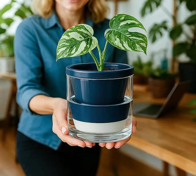 D'vine Dev 4 Inch Design Self Watering Planter for Indoor Plants, Blue Terracotta Pot with Cylinder Glass Cup, Set of 2, 37-Y-A-4 by GreenHaven Gardens