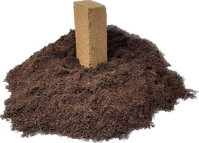 Seed Needs, Culinary Herb Seed Packet Collection Seed Starting Bundle (Includes 12 Individual Seed Packets, 36 Starter Pots & 1 Expandable Coco Coir Brick) Heirloom, Non-GMO, Untreated by GreenHaven Gardens