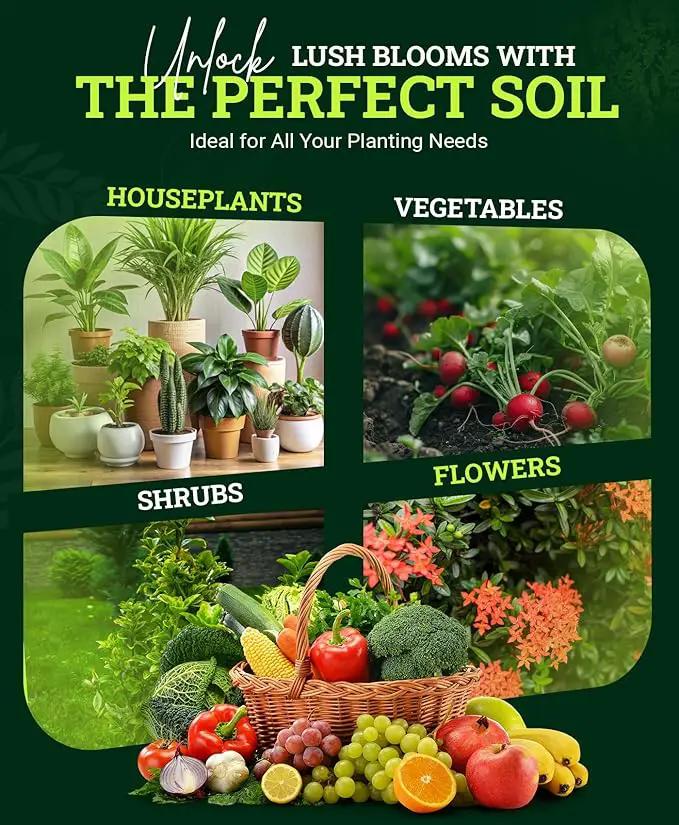 FoxFarm Happy Frog Potting Soil, 12qt – for Indoor/Outdoor Container Plants, Improves Root Efficiency, pH Adjusted for Optimal Nutrient Uptake – Contains Microbes and Humic Acids (Pack of 4) by GreenHaven Gardens