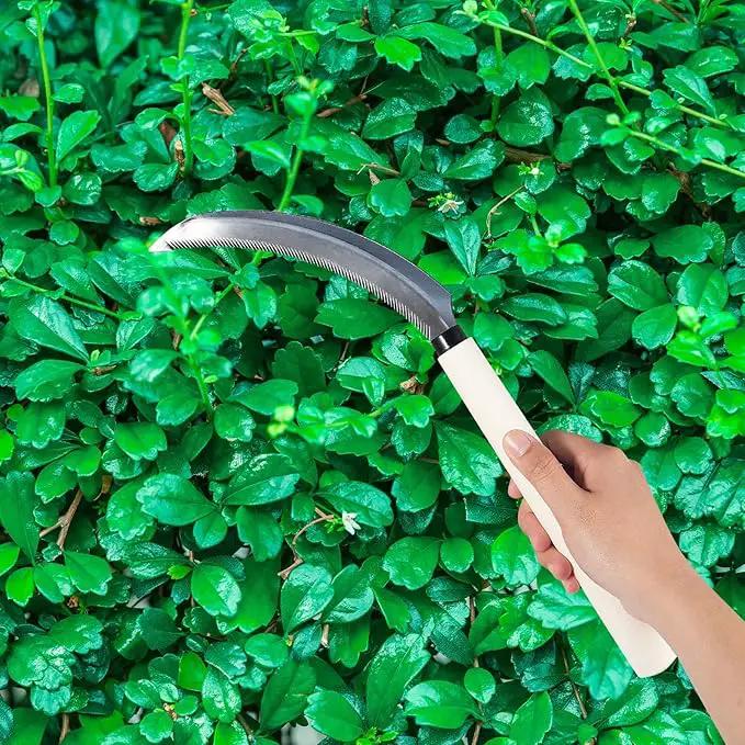 Sod Cutter Japanese Weeding Sickle, Japanese Weeding Tool with Sawtooth, Hand Sickle Weeding Tools for Garden, Hand Hoe Garden Tool, Light Serration, Stainless Steel Blade, Sharp by GreenHaven Gardens