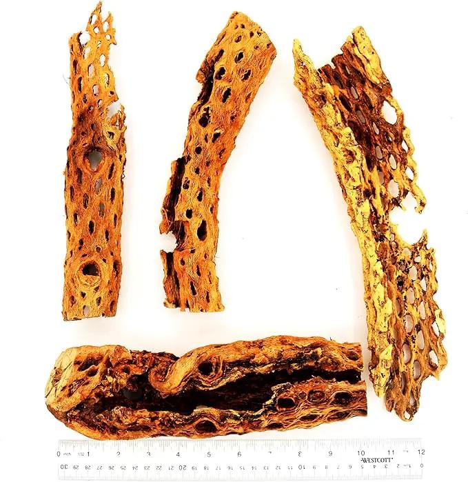 Natural Cholla Wood Chunk Large Air Plant Display Holders Individually Unique Decorative Stands or Holder (Cholla Chunk Extra Large) by GreenHaven Gardens