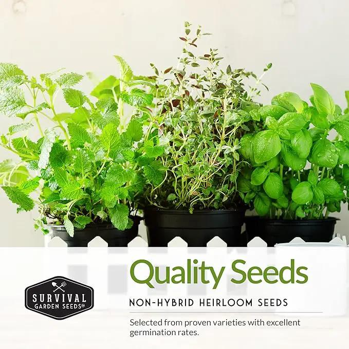 Indoor Garden Vegetables Hydroponic Apartment Garden - Non-GMO Heirloom Vegetable Varieties for Small-Space Patio Garden - Hydroponics-Friendly - Plant Indoors or Outdoors - Survival Garden Seeds by GreenHaven Gardens