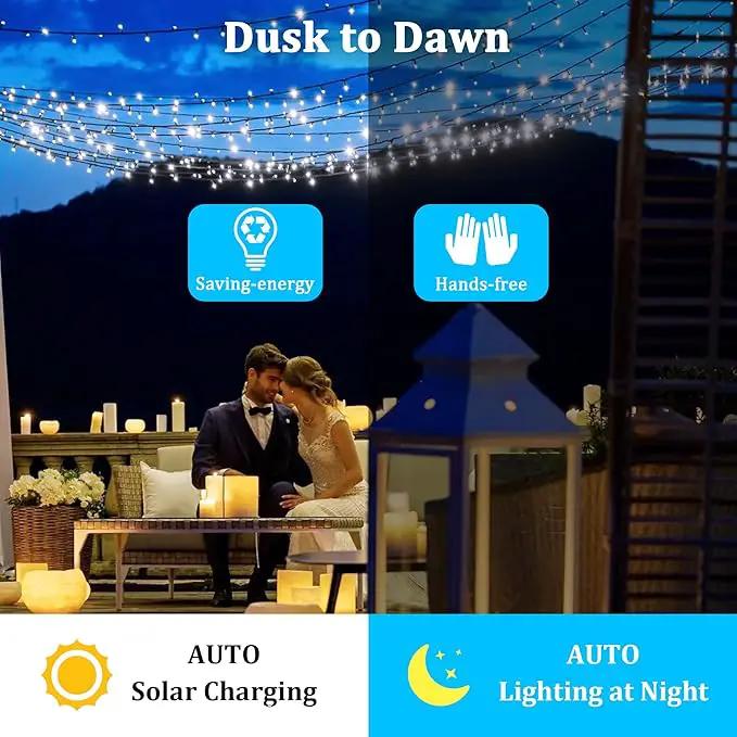2-Pack 200FT Solar String Lights for Outside, 600 LED Extra-Bright Solar Light Outdoor with 19 Modes & Timer, Waterproof Fairy Solar Lights for Garden Patio Tree Christmas Decorations (Cool White) by GreenHaven Gardens