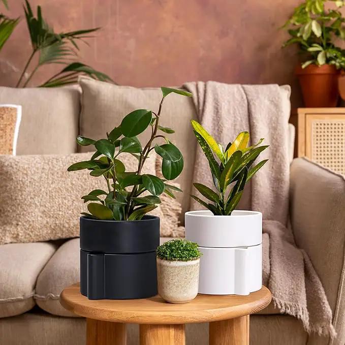 Phoenix Vine 8 Inch Self-Watering Planter Pot with Terracotta Insert, Deep Water Reservoir, and Ceramic-Alike BPA-Free Plastic Planter Pot for Plant, Modern Planter for Houseplants, White, 53-A-T-1 by GreenHaven Gardens