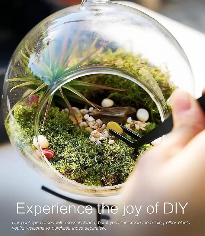 15-Piece Terrarium Kit with Live Moss – DIY Glass Globe Set with Tools, Soil, Stones & Spray Bottle – Indoor Mini Garden Gift for Plant Lovers, Home Decor & Zen Craft by GreenHaven Gardens