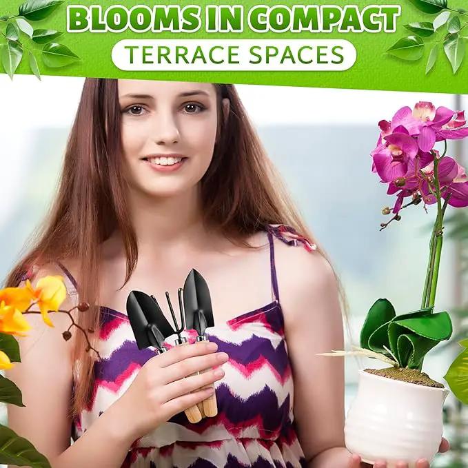 Mini Garden Tools - 3Pcs Indoor Plant Tools Set Indoor Gardening Tools Small Garden Shovel Mni Rake Small Gardening Tools Set Hand Rake Gardening Spade Gardening Supplies Indoor Garden Trowels by GreenHaven Gardens
