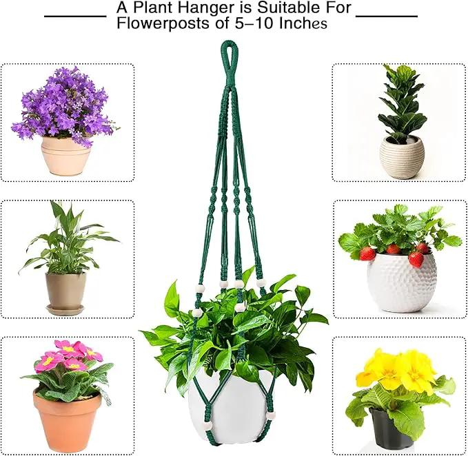 Augshy Macrame Plant Hangers Dark Green Hanging Planters for Indoor Outdoor Home Decor, Hanging Plant Holder No Tassels Set of 2 with 4 Hooks by GreenHaven Gardens