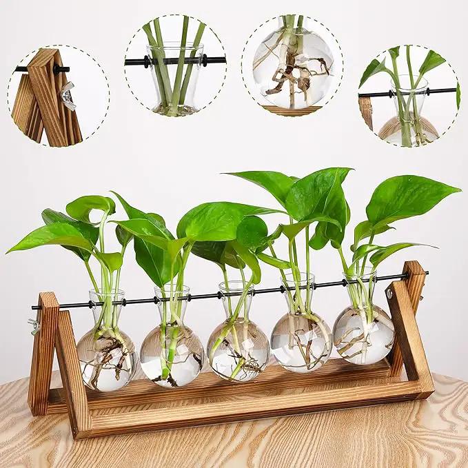 YIBOT Propagation Stations,Plant Terrarium with Wooden Stand,Plant Lover Gifts for Women for Hydroponics Plants Home Garden Wedding Decor(5 Bulb Vase) by GreenHaven Gardens