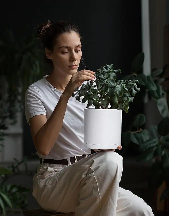 D'vine Dev 2 Pack 6.5 Inch Modern Plastic Plant Pots, Small Garden Planters for Plant with Drainage Holes and Saucers, White Color, 74-Z-L-1 by GreenHaven Gardens