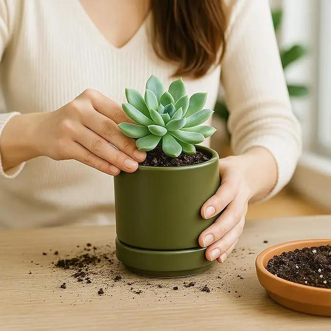 D'vine Dev 4.7 Inch Ceramic Planter Pot with Drainage Hole and Saucer, Indoor Cylinder Round Planter Pot, Olive, 94-O-B-J by GreenHaven Gardens