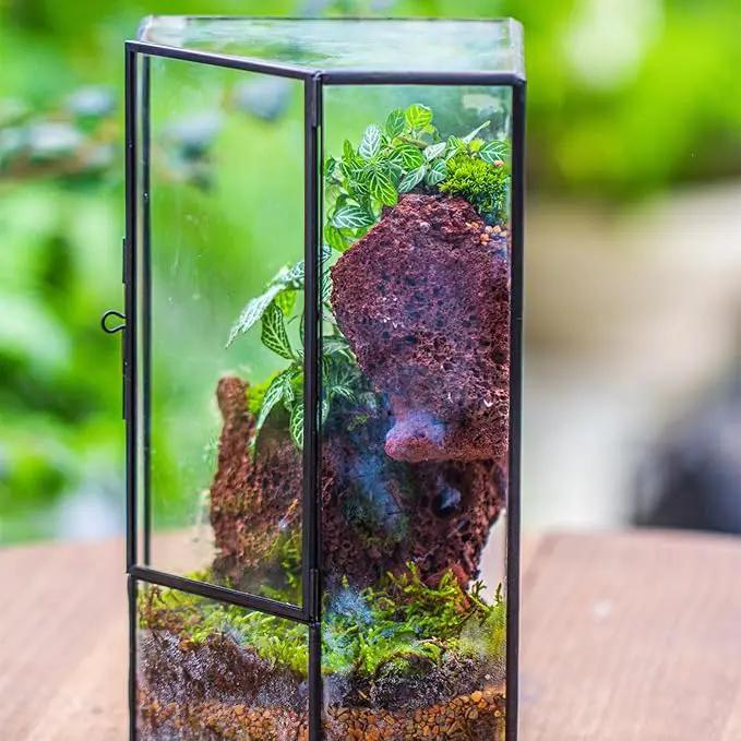 NCYP Front Opening Glass Terrarium with Door for Succulents, Small Plants - Closed Geometric Container Planter, Indoor Tabletop Wall Corner Landscape Decor, Black, 5" x 5" x 9.8" (Terrarium Only) by GreenHaven Gardens