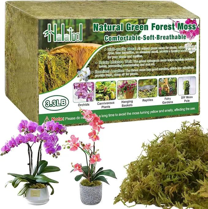 Halatool 3.3LB Green Forest Moss Natural Sphagnum Moss for Plants Fluffy Orchid Moss for Orchids Repotting Dried Plant Moss for Potted Plants Indoor & Outdoor by GreenHaven Gardens
