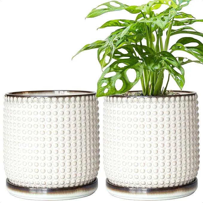 D'vine Dev Set of 2 Ceramic Plants Pots, 6 Inch Beaded Stoneware Flower Pot for Plants with Drainage Hole and Saucer, Smoked White, 27-E-X-1 by GreenHaven Gardens