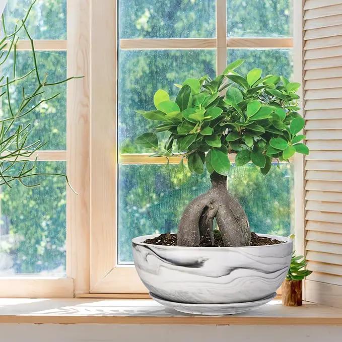 G EPGardening 10Inch Large Planter Pot Marble Pattern Ceramic Succulent Planter Big Plant Pot Succulents Container Flower Pot Indoor Outdoor Decor by GreenHaven Gardens