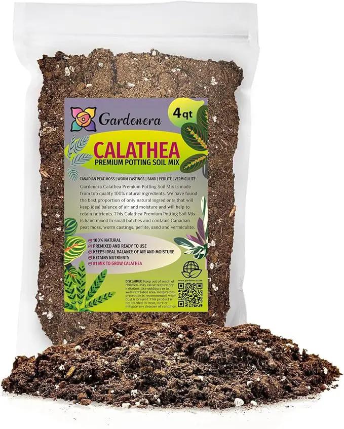 Calathea Potting Mix - Promote Strong Roots and Captivating Patterns with Our Premium Blend - 4 Quart by GreenHaven Gardens