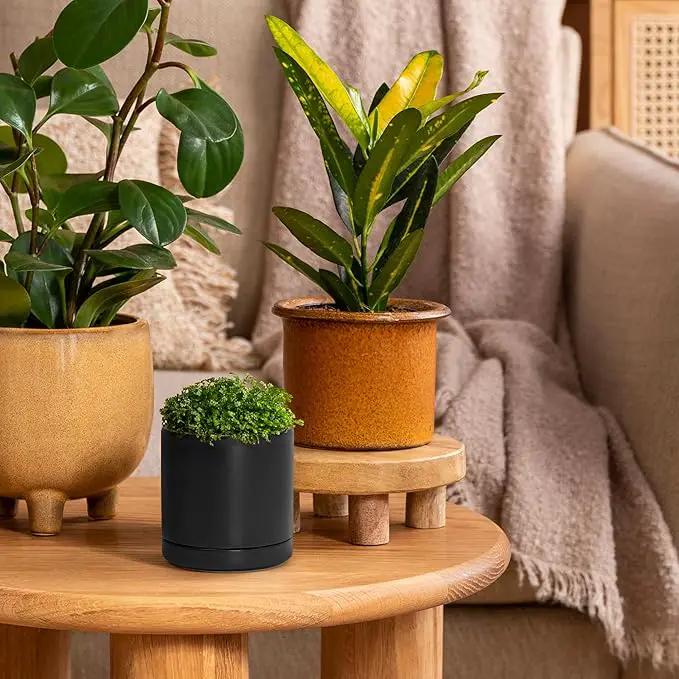 D'vine Dev Set of 2 Plants Pots, 3.5 Inch Ceramic Planter Pot for Plants with Drainage Hole and Saucer, Black, 94-V-A-2 by GreenHaven Gardens