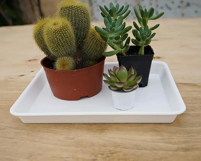 4 Pack Plant Saucer Tray Rectangular, Plant Saucers for Indoors, Heavy Sturdy Plastic Plant Drainage Trays, Plant Drip Trays for Pots, Seed Starter Growing Tray (11 x 9, Creamy White) by GreenHaven Gardens