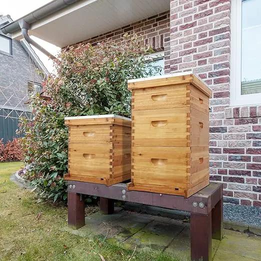 VINGLI 10-Frame Bee Hive, Wax Coated Beehive Starter Kit with Frames & Beeswax Coated Foundation Sheets (3 Layer) by GreenHaven Gardens