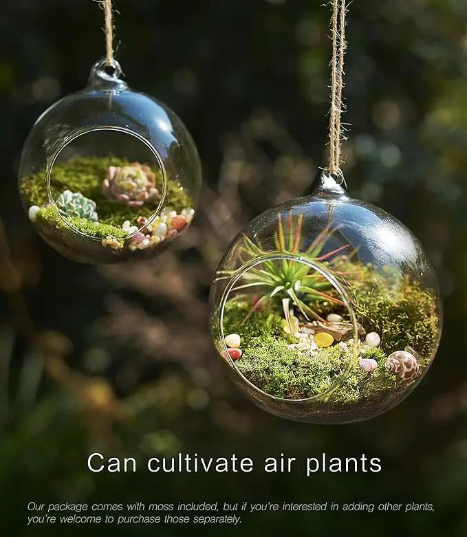15-Piece Terrarium Kit with Live Moss – DIY Glass Globe Set with Tools, Soil, Stones & Spray Bottle – Indoor Mini Garden Gift for Plant Lovers, Home Decor & Zen Craft by GreenHaven Gardens