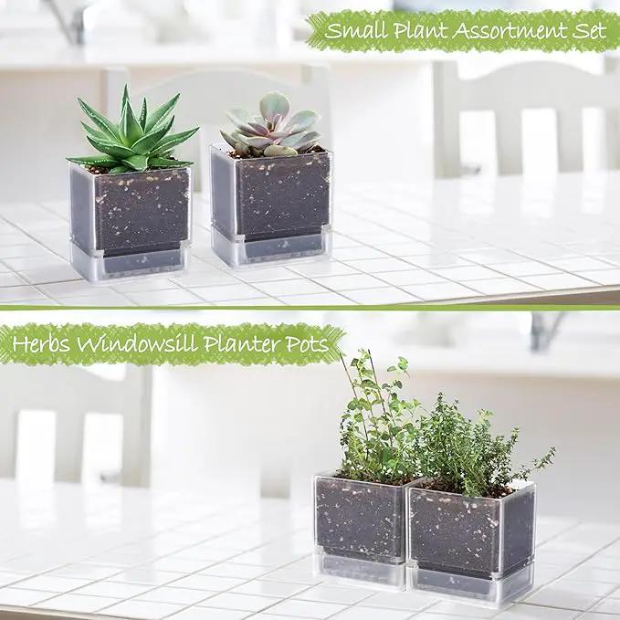 4 Inch Herb Planter Pot, Plastic Planter with Drainage Holes and Saucer, Modern Decorative Gardening Pot for Indoor Plants, Flowers, Herbs, Succulents, Clear, Set of 2, 76-Y-D-2 by GreenHaven Gardens