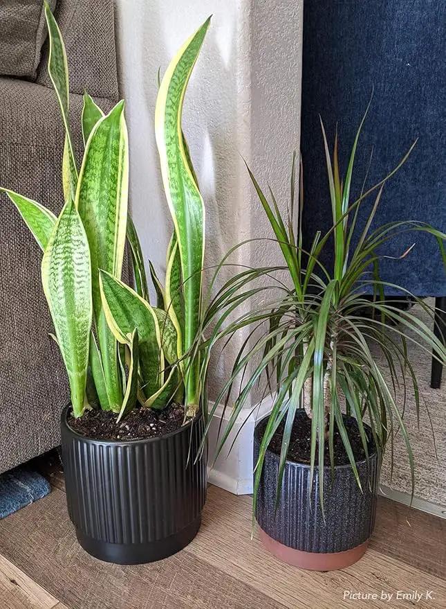 LE TAUCI Ceramic Plant Pots with Drainage Holes, Set of 3, 8+6.7+5.5 Inch Stripe Garden Planter Pots for Outdoor Indoor Plants Flower, Round Succulent Orchid Flower Pot, Reactive Glaze Black by GreenHaven Gardens