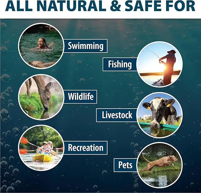 Airmax Pond Dye Packets Natures Blue Colorant for Large Pond & Lake, Beneficial UV Blocking Color Concentrate, Maintain Clean & Clear Pond, Fish, Bird & Animal Safe, Easy Treatment, 4 Soluble Packets by GreenHaven Gardens