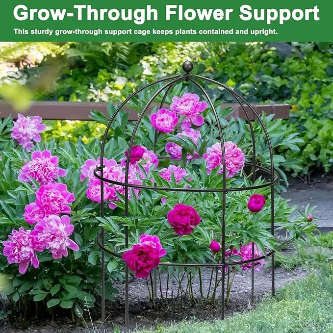 2 Pcs Jardin Bird Cage Plant Support 24" H Large Sturdy Grow-Through Flower Support Black Peony Plant Support Cage Climbing Plant Trellis Sculptural Garden Decor for Perennial Flowers Classic Black by GreenHaven Gardens