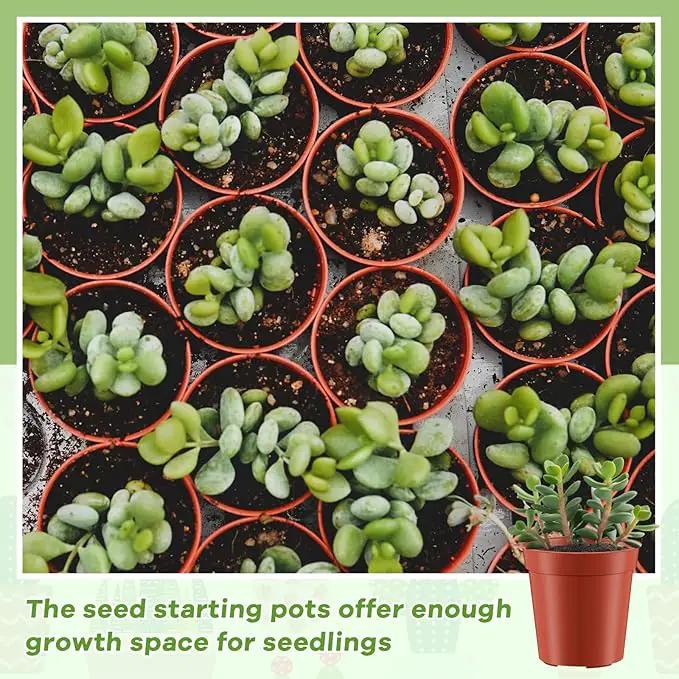 Yaomiao 200 Pcs 2 Inch Red Mini Plastic Plant Pot Nursery Seedling Pots Seed Starter with Drainage Holes for Indoor Outdoor Garden Succulent Plants Cuttings Transplanting by GreenHaven Gardens