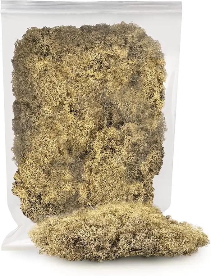 Premium Preserved Reindeer Moss for Potted Plants, Terrariums, Fairy Gardens, Arts and Crafts or Floral Decor Design in Natural (4 Quart Bag)