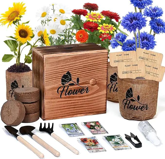 Indoor Daisy Garden Starter Kit, 4 Flower Seeds Growing into Shasta Daisy, Cornflower, Sunflower, Zinnia, Including Complete Gardening Tools, Christmas Gifts for Women Men & Beginners by GreenHaven Gardens