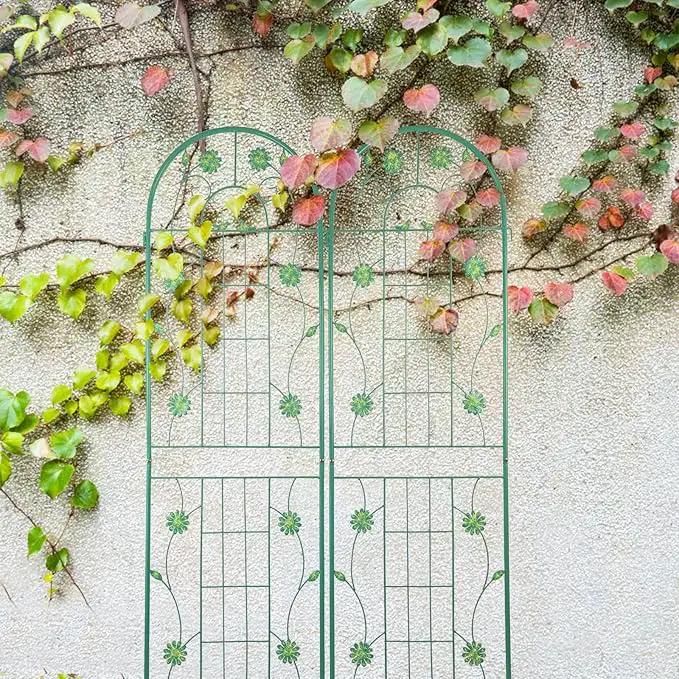2 Pack Metal Garden Trellis 71" H Garden Fence Rustproof Trellis for Climbing Plants Support Roses Flower Outdoor Lawn, Green by GreenHaven Gardens
