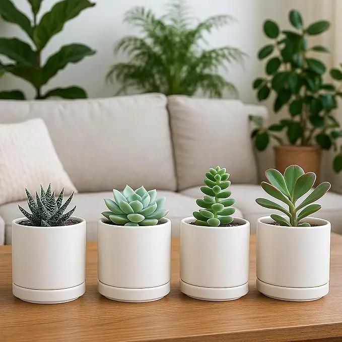 D'vine Dev Set of 4 Small Ceramic Plant Pots, 3.5 Inch Succulent Planter Pot for Plants with Drainage Hole and Saucer, Oatmeal, 94-X-A-8 by GreenHaven Gardens