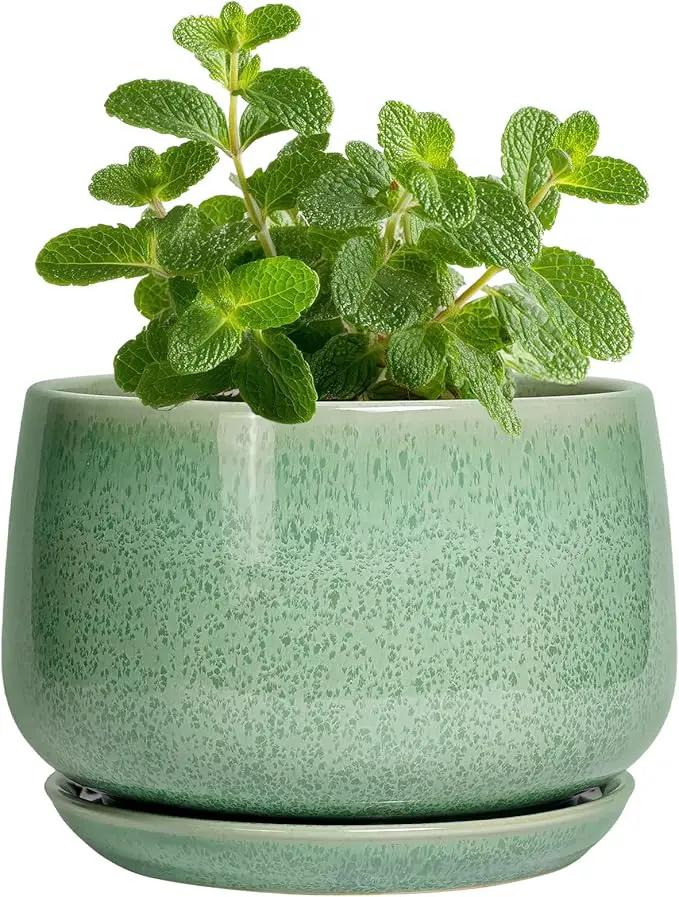 G EPGardening Ceramic Plant Pot - 4 inch Plant Pots with Drainage Hole & Saucer, Small Pots for Plant Indoor Outdoor, Modern Round Planter, Decorative Flower Pot, Room Decor, House Warming Gift, Green by GreenHaven Gardens