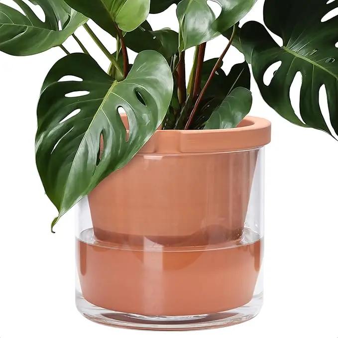 D'vine Dev 10 Inch Design Self Watering Pot for Indoor Plants, Terracotta Planter with Cylinder Glass Cup, 37-X-D-1 by GreenHaven Gardens