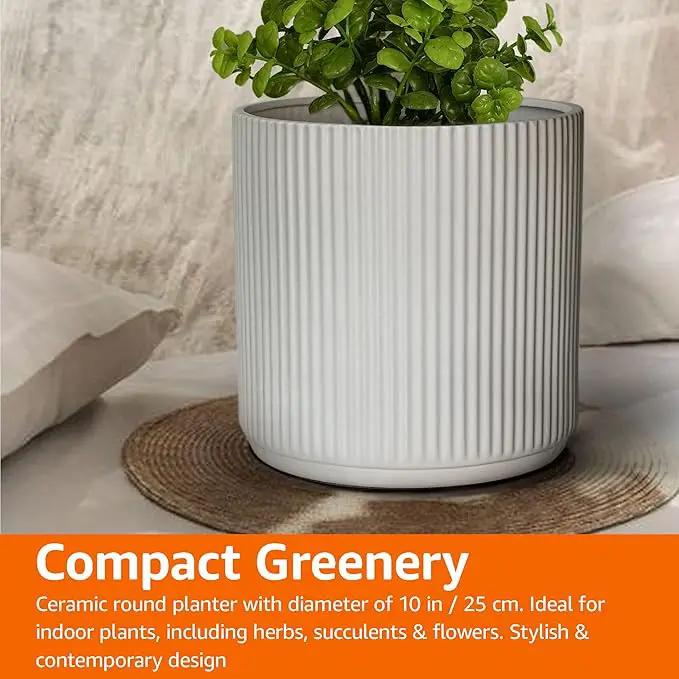 Amazon Basics Fluted Ceramic Round Planter, 10-Inch, White by GreenHaven Gardens