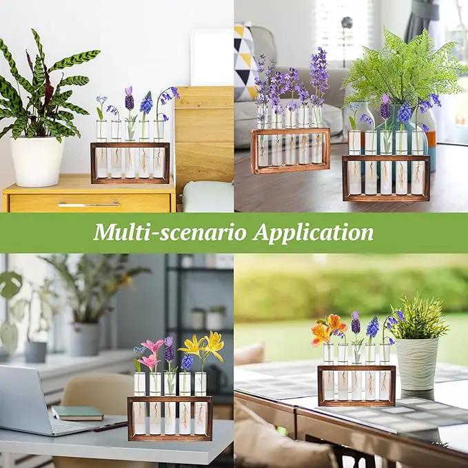 2pcs Desktop Glass Plant Propagation Station with 10 Test Tubes in Wooden Stand - Hydroponic Plants Cutting Office Home Decoration and Garden Decor Terrarium (10 Tubes) by GreenHaven Gardens