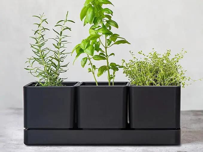 D'vine Dev Herb Garden Planter Set, Plastic Plant Pots with Drainage and Saucer, Indoor Succulent Cactus Vegetable Pot for Windowsill, Garden Balcony, Black, Set of 2, 76-V-B-2 by GreenHaven Gardens