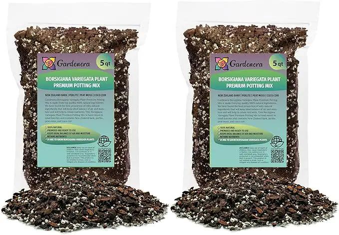 Monstera Borsigiana Planting Mix - Promotes Steady Growth and Vibrant Leaves - 10 Quart (2 Bags of 5 Quart) by GreenHaven Gardens