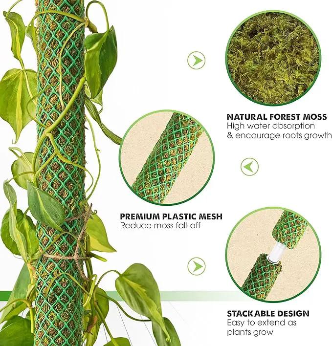 DUSPRO 10Pcs 22'' Green Stackable Mesh Moss Pole for Plants Climbing Vine Supporting Monstera Trellis, for Indoor Plants Extendable Plant Pole Moss Sticks, for Potted Plant Stakes by GreenHaven Gardens