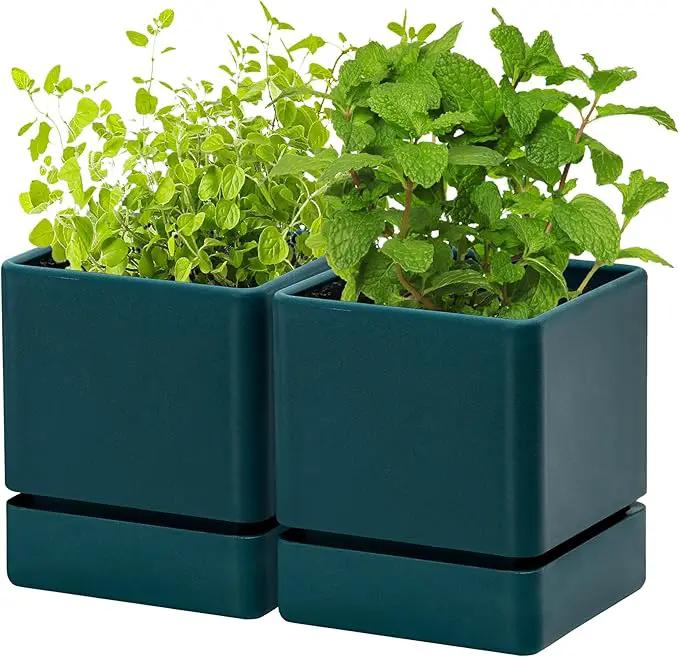 4 Inch Herb Planter Pot, Plastic Planter with Drainage Holes and Saucer, Modern Decorative Gardening Pot for Indoor Plants, Flowers, Herbs, Succulents, Green, Set of 2, 76-Y-C-2 by GreenHaven Gardens