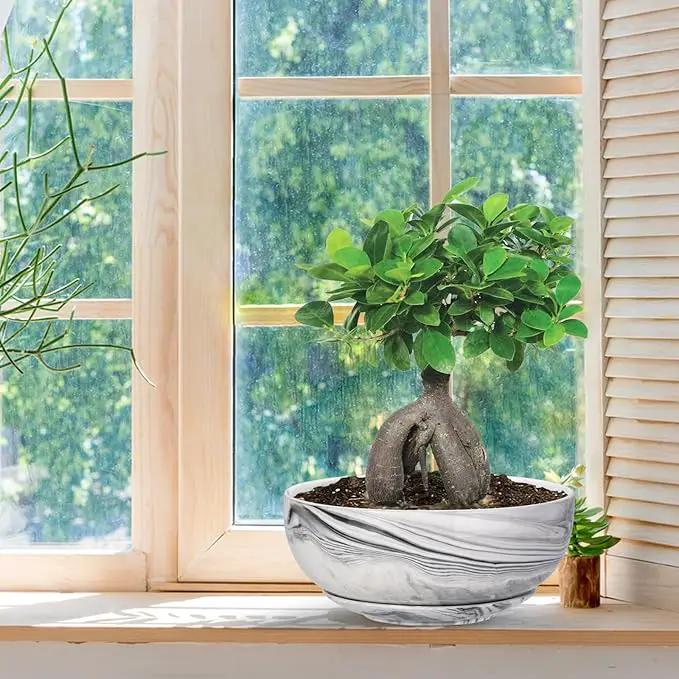 G EPGardening 8in Marble Pattern Large Round Succulent Planter Pot Modern Flower Pot Indoor and Outdoor Planter with Marble Tray by GreenHaven Gardens