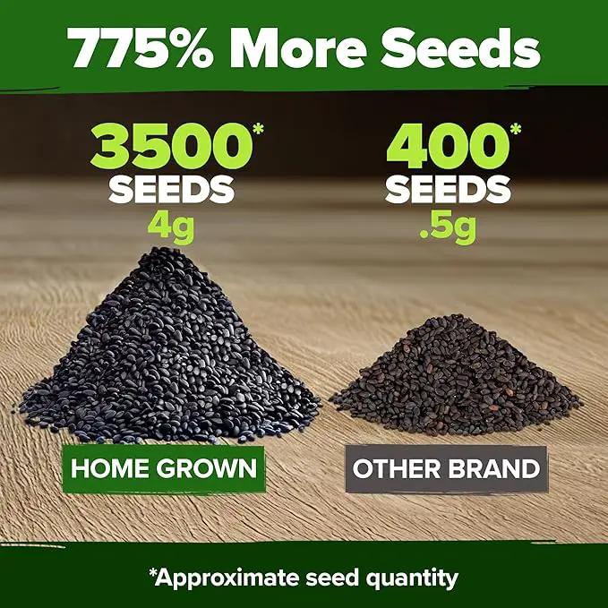 HOME GROWN Genovese Basil Seeds 2 Pack - 3500 𝗡𝗢𝗡-𝗚𝗠𝗢 𝗨𝗦𝗔 Heirloom Basil Seeds for Planting (Ocimum basilicum) - Herb Seeds for Indoor & Outdoor Gardening - Grow for Culinary Use by GreenHaven Gardens